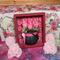 Pink Roses